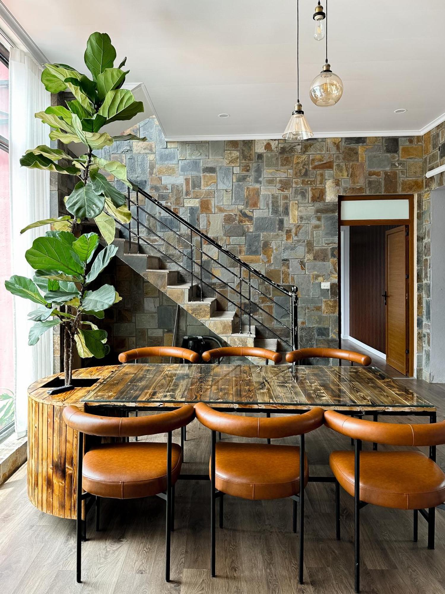 Bách Xanh House Apartment Tam Dao Ngoại thất bức ảnh